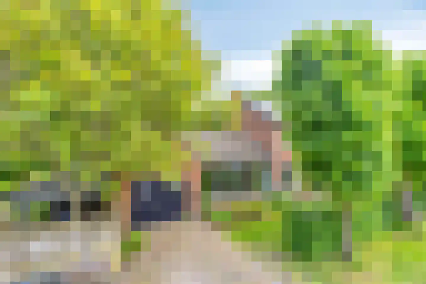 Monseigneur Borretstraat 11 Reek thumbnail 11