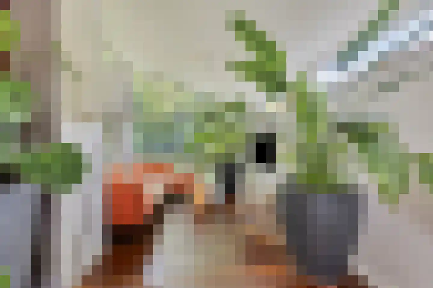 Monseigneur Borretstraat 11 Reek thumbnail 23