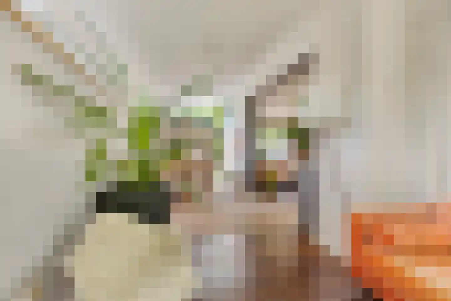 Monseigneur Borretstraat 11 Reek thumbnail 25