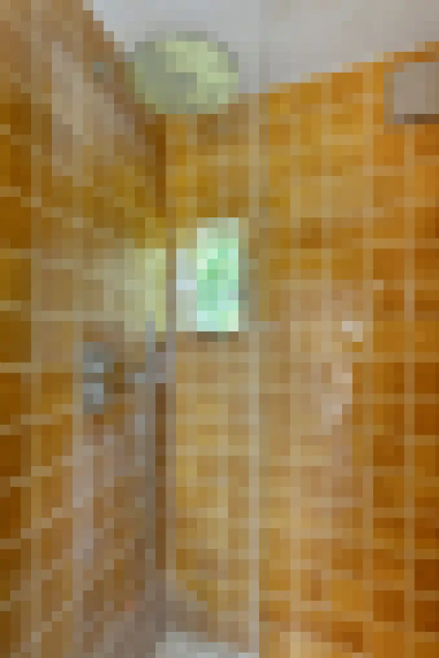 Monseigneur Borretstraat 11 Reek thumbnail 45