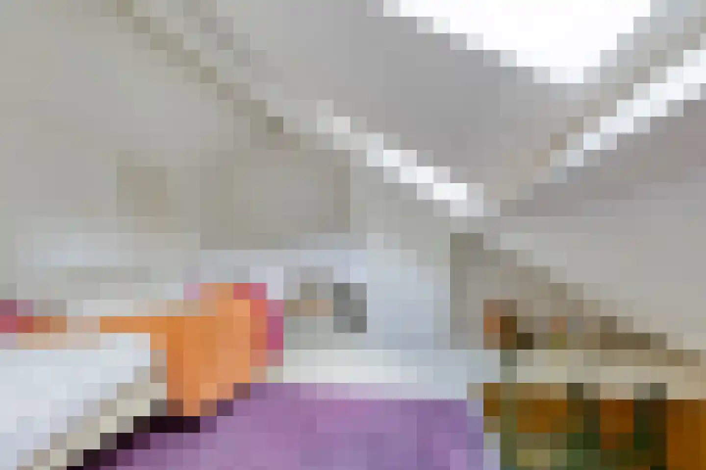 Monseigneur Borretstraat 11 Reek thumbnail 57