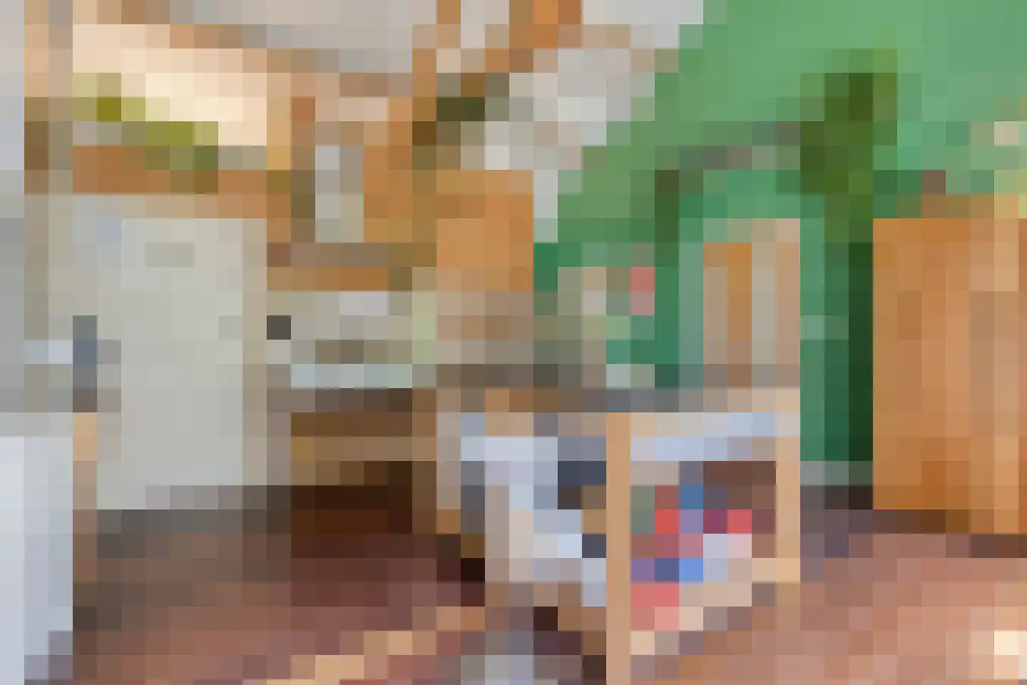 Monseigneur Borretstraat 11 Reek thumbnail 6