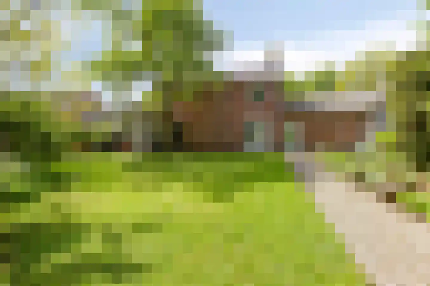 Monseigneur Borretstraat 11 Reek thumbnail 60