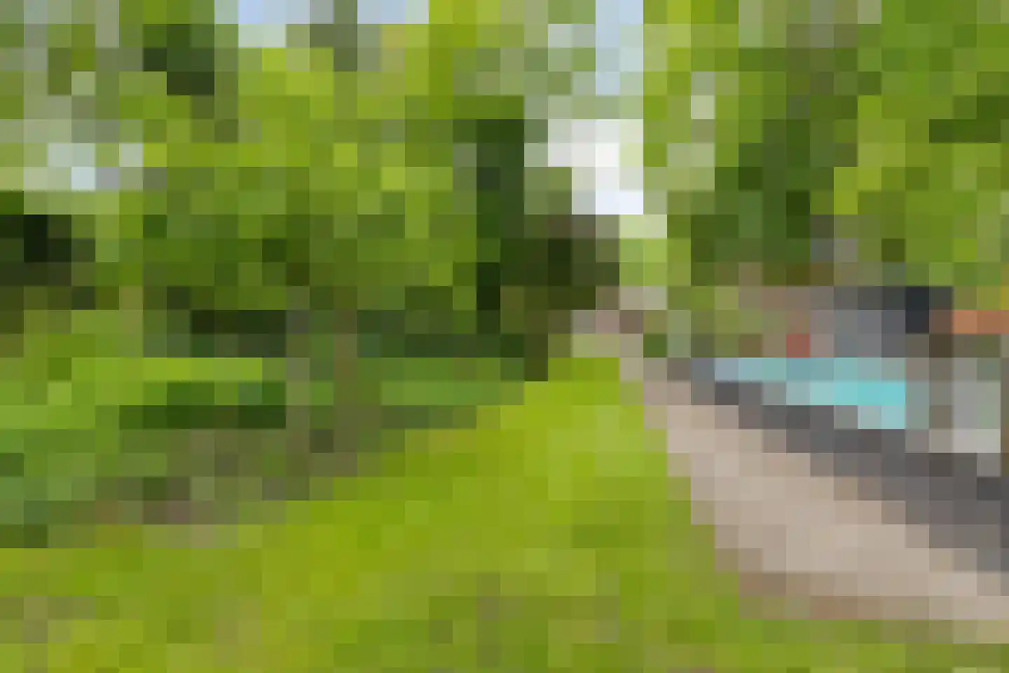 Monseigneur Borretstraat 11 Reek thumbnail 64