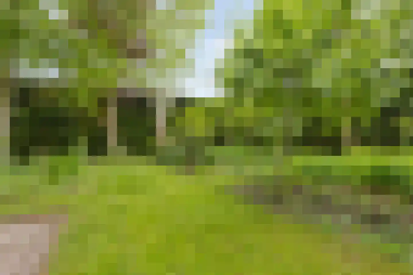 Monseigneur Borretstraat 11 Reek thumbnail 65