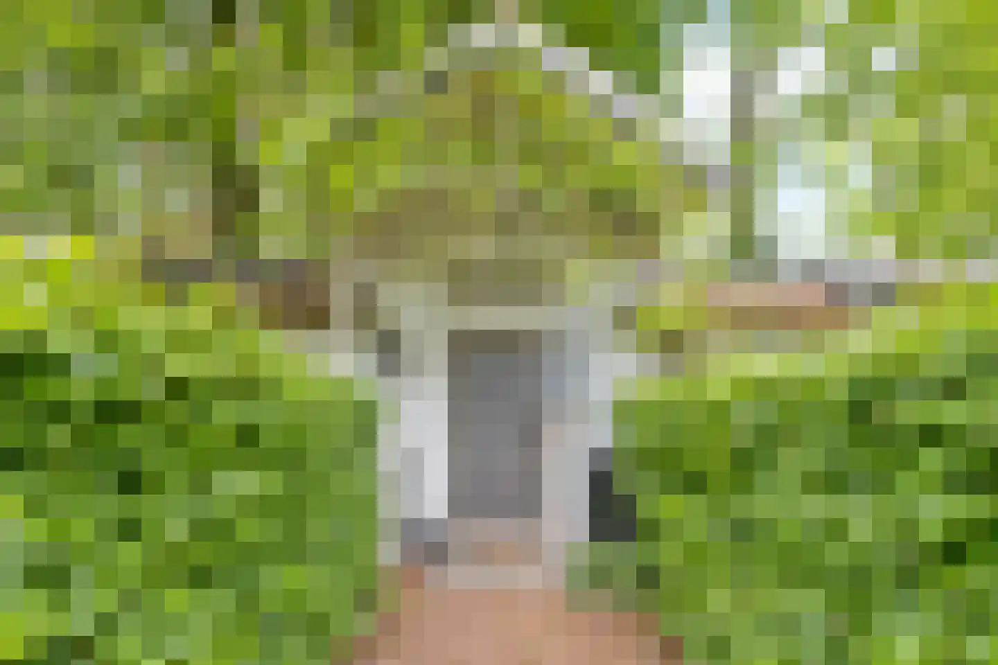 Monseigneur Borretstraat 11 Reek thumbnail 67