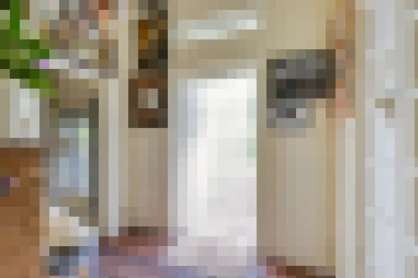 Monseigneur Borretstraat 11 Reek thumbnail 69