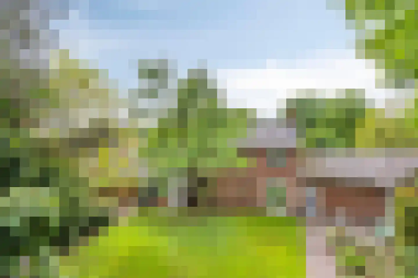 Monseigneur Borretstraat 11 Reek thumbnail 73