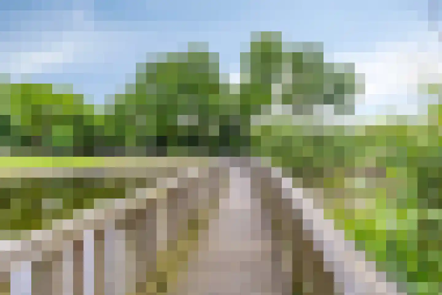Monseigneur Borretstraat 11 Reek thumbnail 76