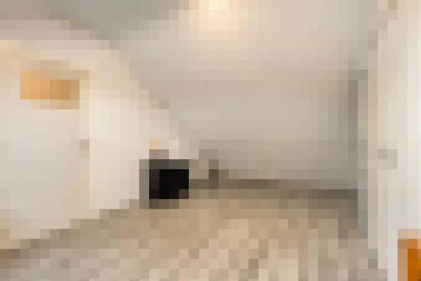 Monseigneur Borretstraat 35 a Reek thumbnail 34
