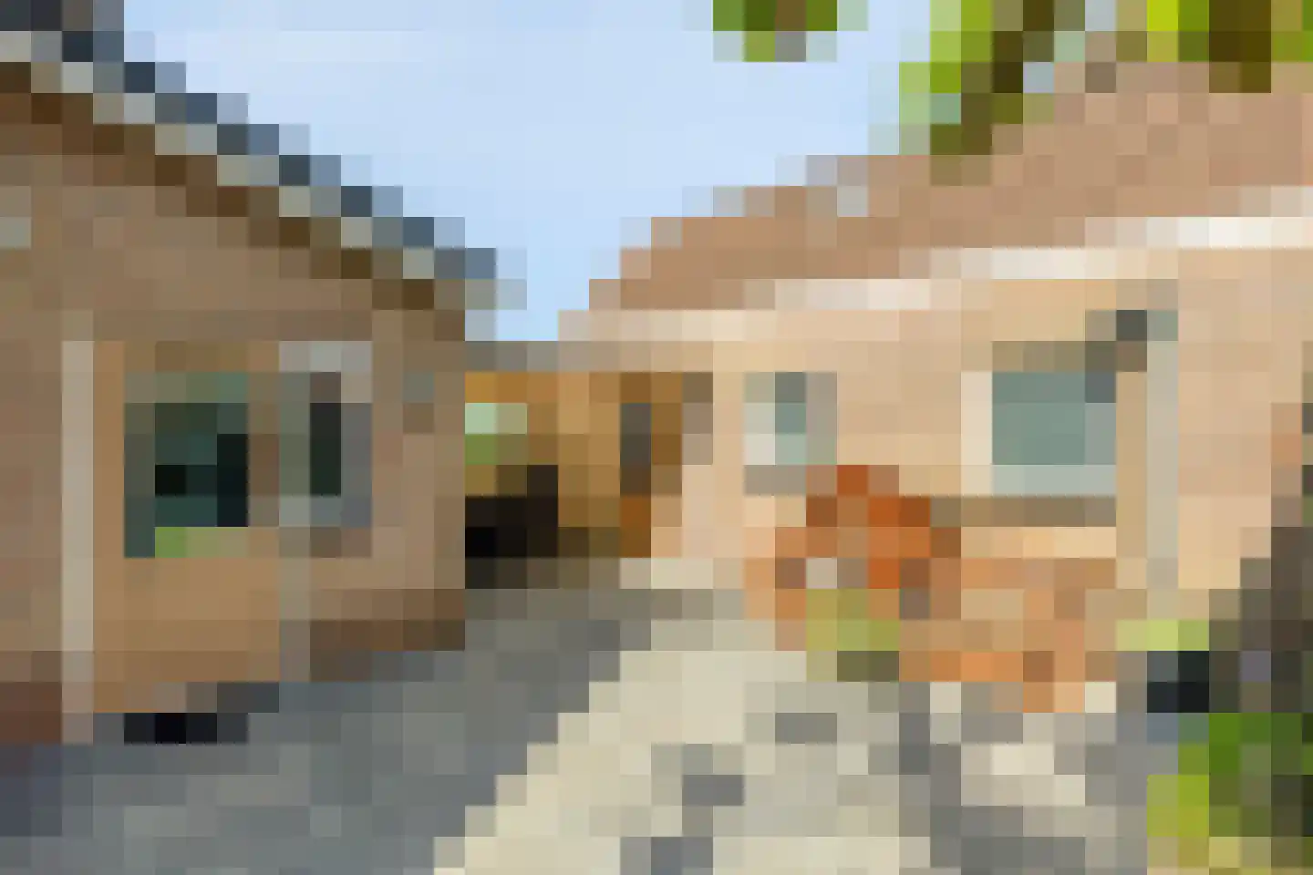 Monseigneur Borretstraat 35 a Reek thumbnail 39