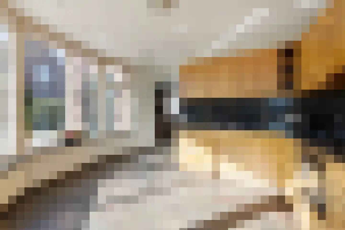 Monseigneur Borretstraat 37 a Reek thumbnail 10