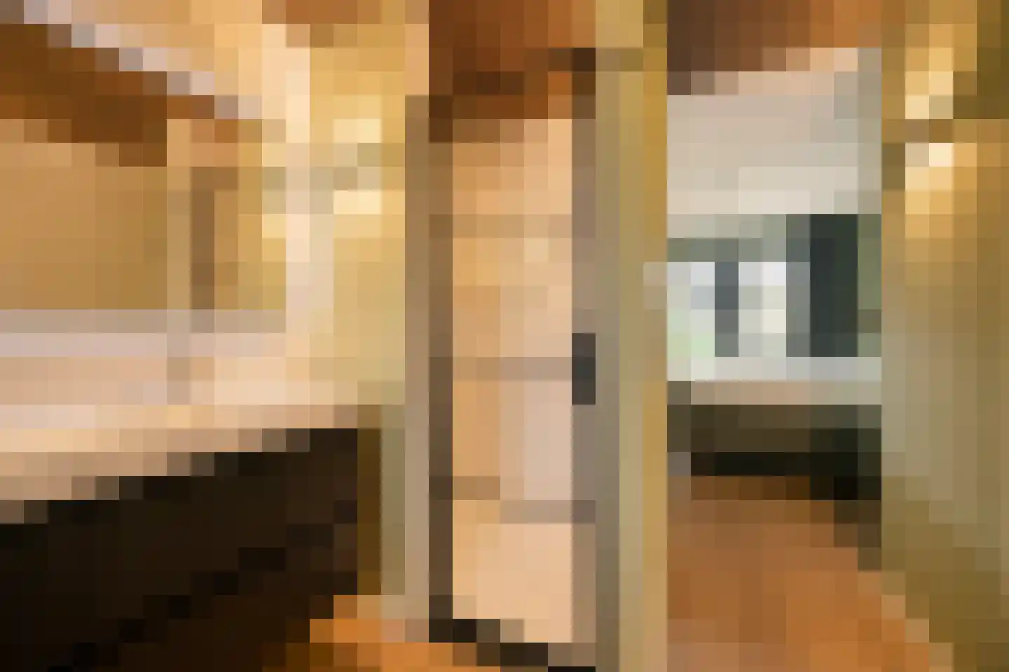Monseigneur Borretstraat 48 Reek thumbnail 22