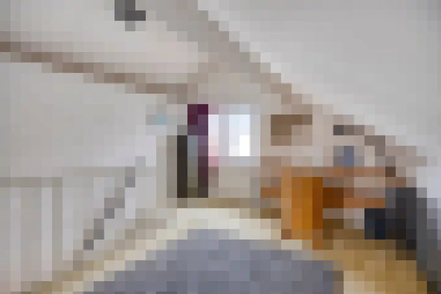 Monseigneur Borretstraat 48 Reek thumbnail 34