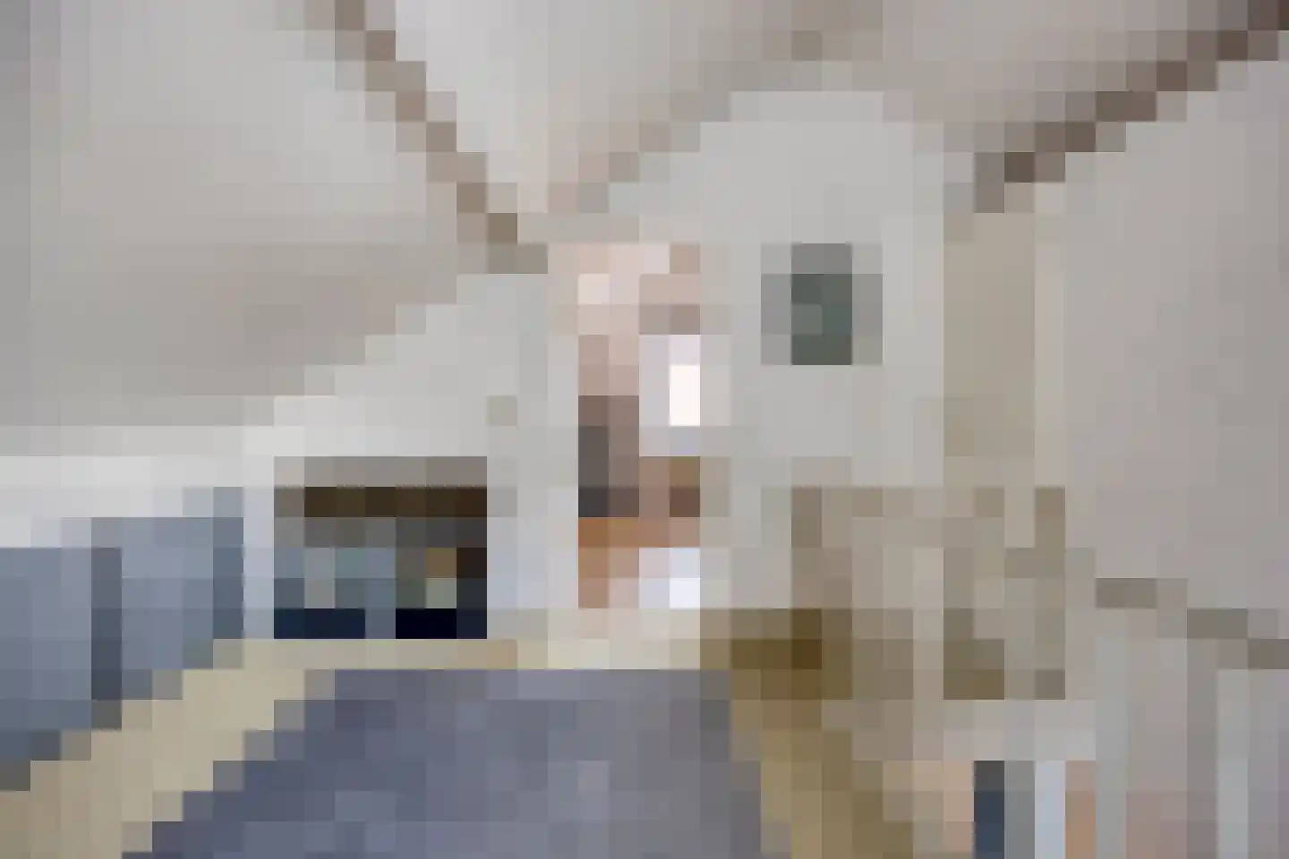 Monseigneur Borretstraat 48 Reek thumbnail 35