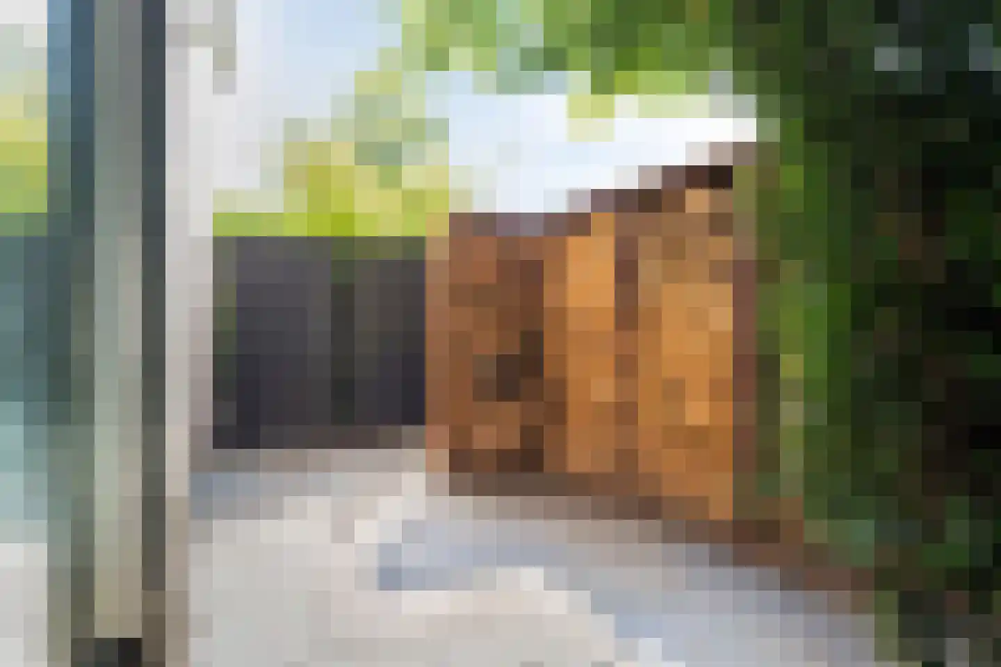 Monseigneur Borretstraat 48 Reek thumbnail 42