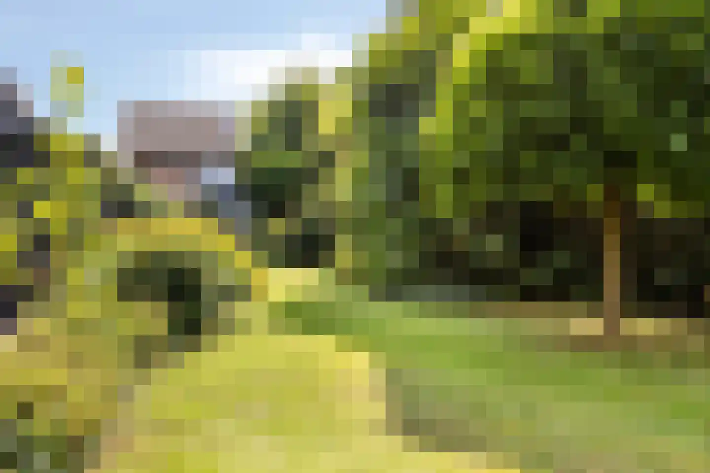 Monseigneur Borretstraat 48 Reek thumbnail 43