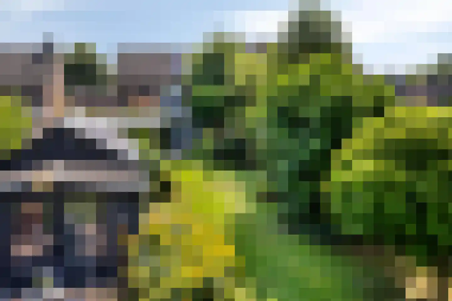 Monseigneur Borretstraat 48 Reek thumbnail 44