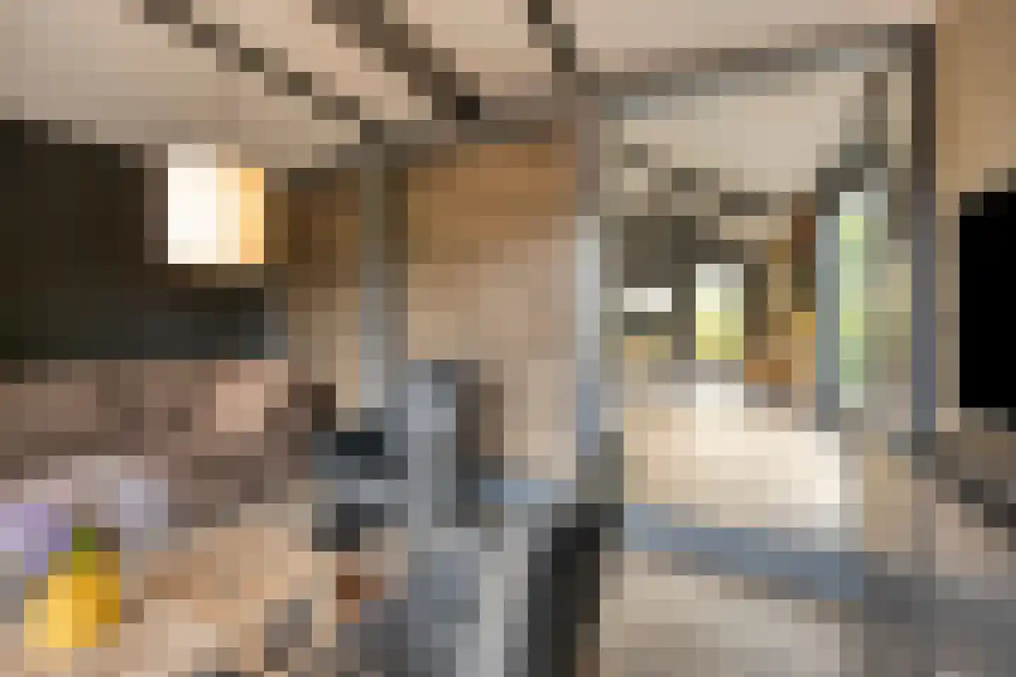 Monseigneur Borretstraat 48 Reek thumbnail 47