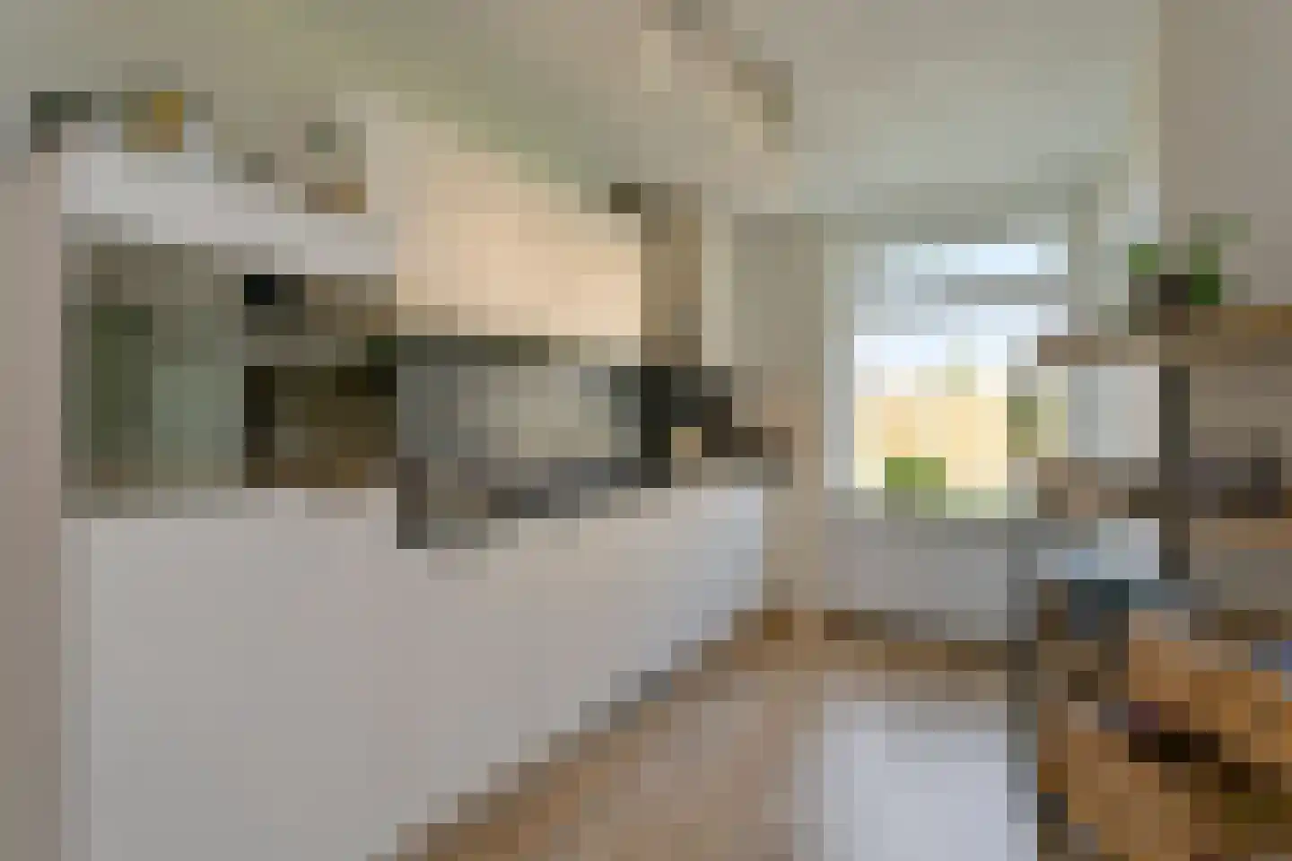 Monseigneur Borretstraat 8 Reek thumbnail 10