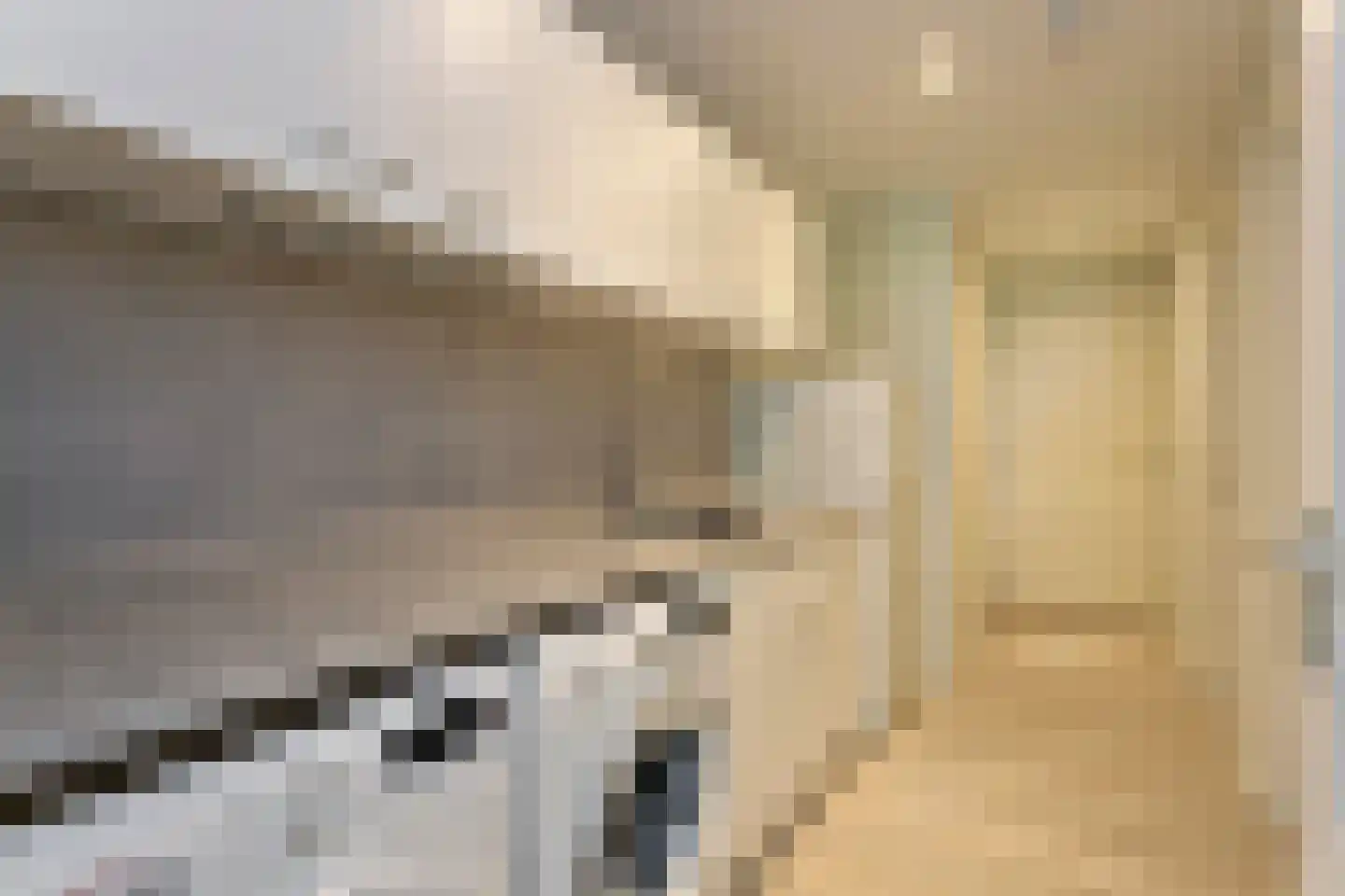 Monseigneur Borretstraat 8 Reek thumbnail 13