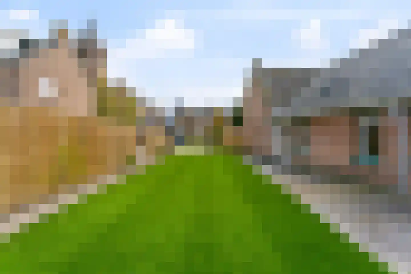 Monseigneur Borretstraat 8 Reek thumbnail 19