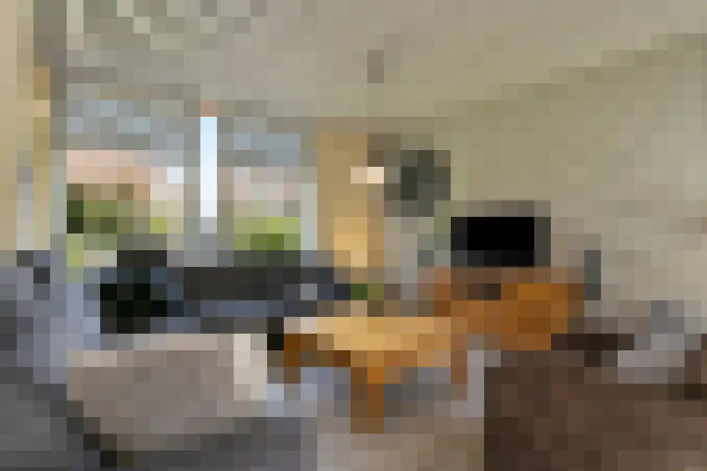 Monseigneur Borretstraat 8 Reek thumbnail 27