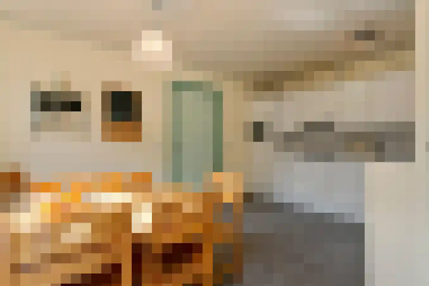Monseigneur Borretstraat 8 Reek thumbnail 29