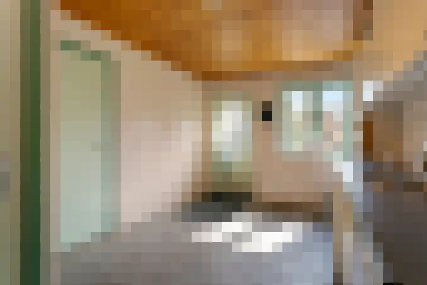 Monseigneur Borretstraat 8 Reek thumbnail 32