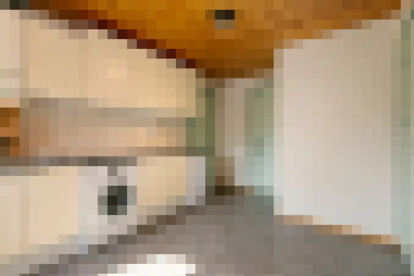 Monseigneur Borretstraat 8 Reek thumbnail 33