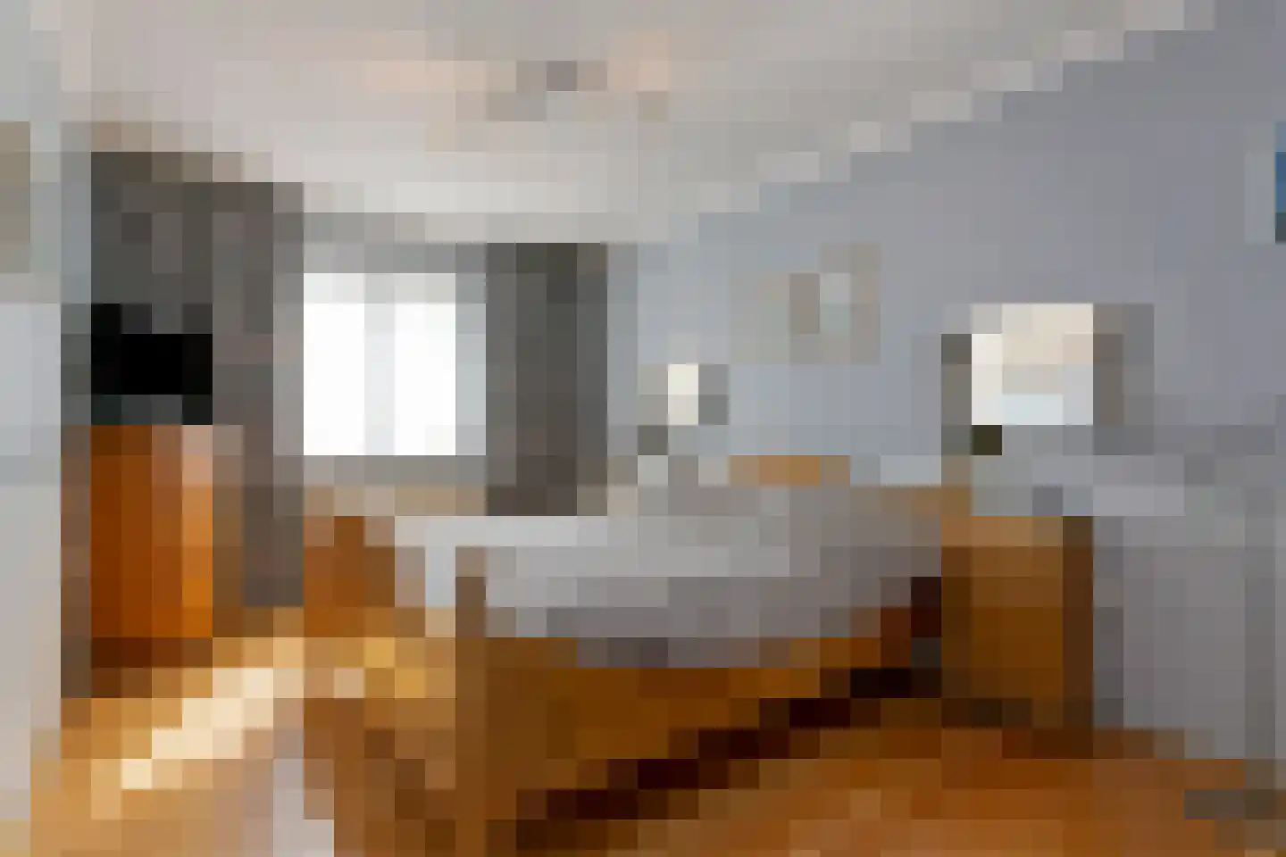 Monseigneur Borretstraat 8 Reek thumbnail 35