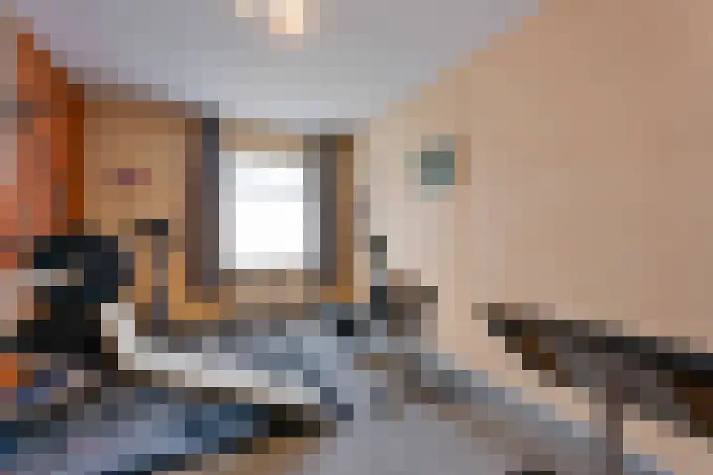 Monseigneur Borretstraat 8 Reek thumbnail 36