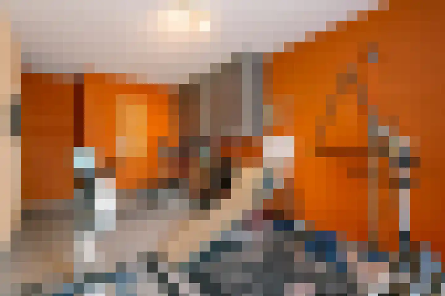 Monseigneur Borretstraat 8 Reek thumbnail 37