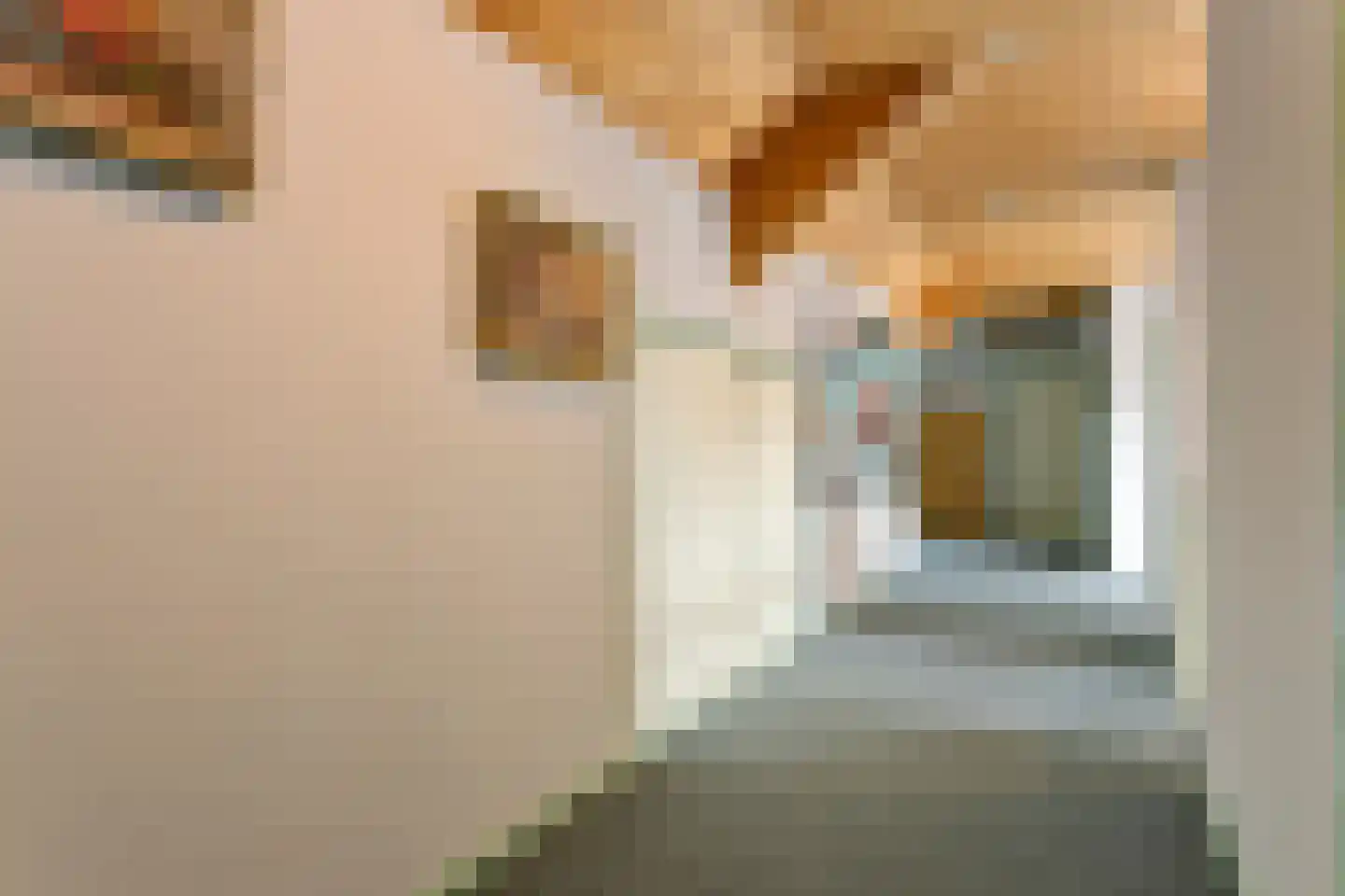 Monseigneur Borretstraat 8 Reek thumbnail 41
