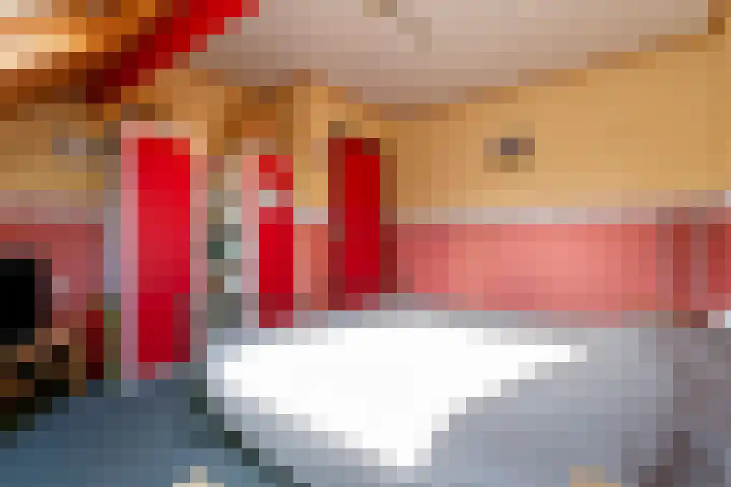 Monseigneur Borretstraat 8 Reek thumbnail 46