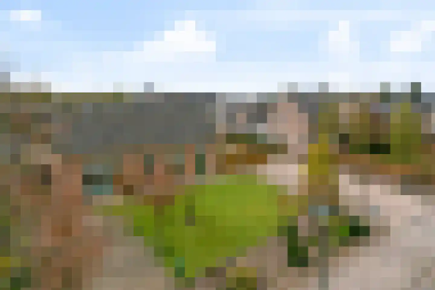 Monseigneur Borretstraat 8 Reek thumbnail 56