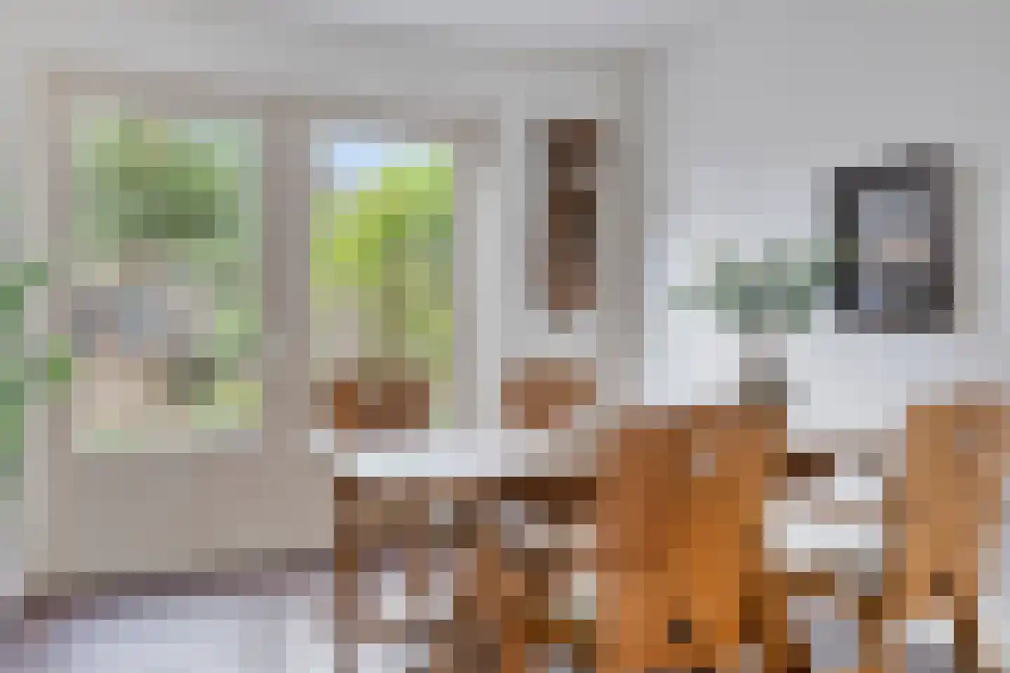 Monseigneur den Dubbeldenstraat 13 Asten thumbnail 18