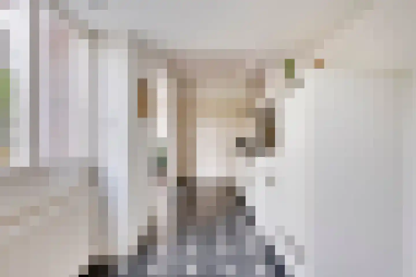 Monseigneur den Dubbeldenstraat 13 Asten thumbnail 23