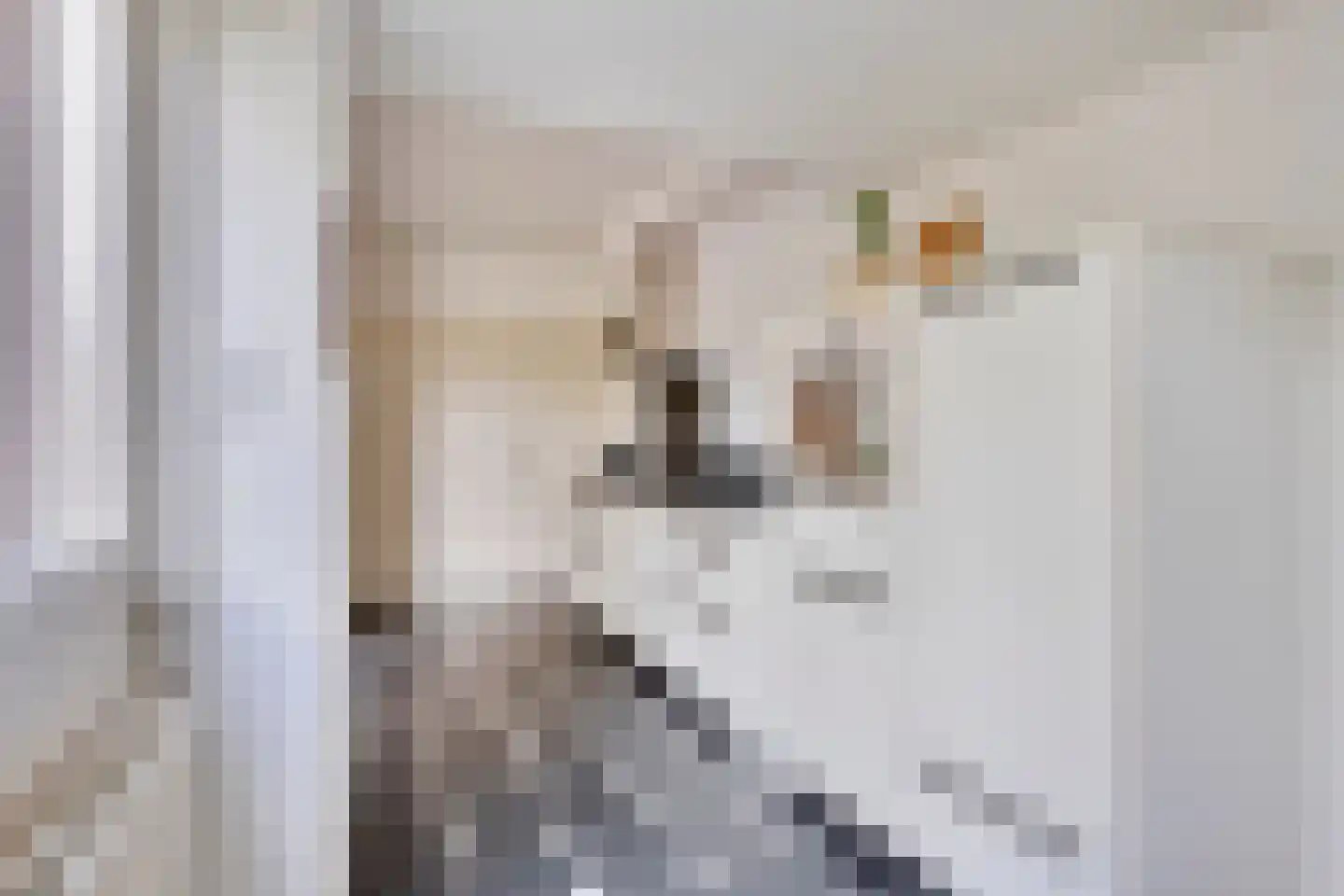 Monseigneur den Dubbeldenstraat 13 Asten thumbnail 24