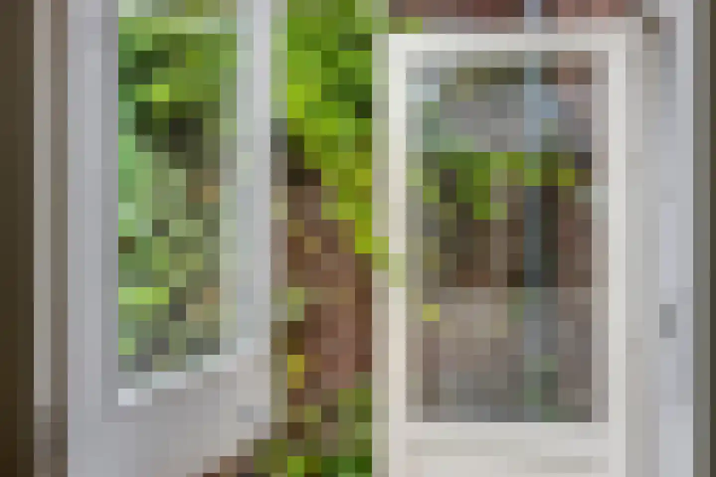Monseigneur den Dubbeldenstraat 13 Asten thumbnail 25