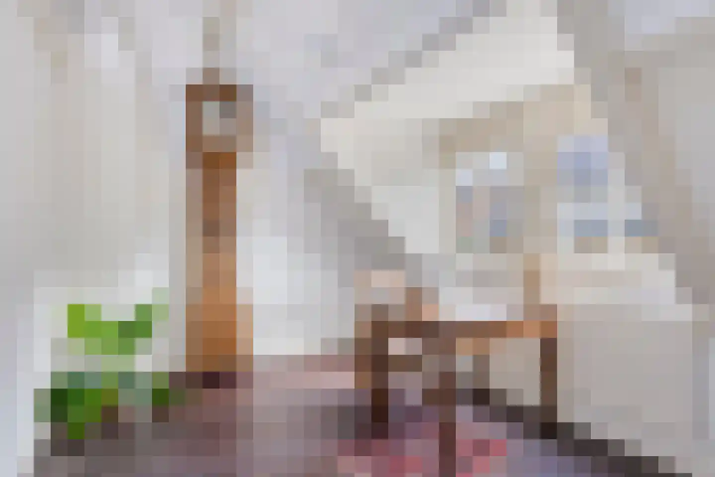 Monseigneur den Dubbeldenstraat 13 Asten thumbnail 32