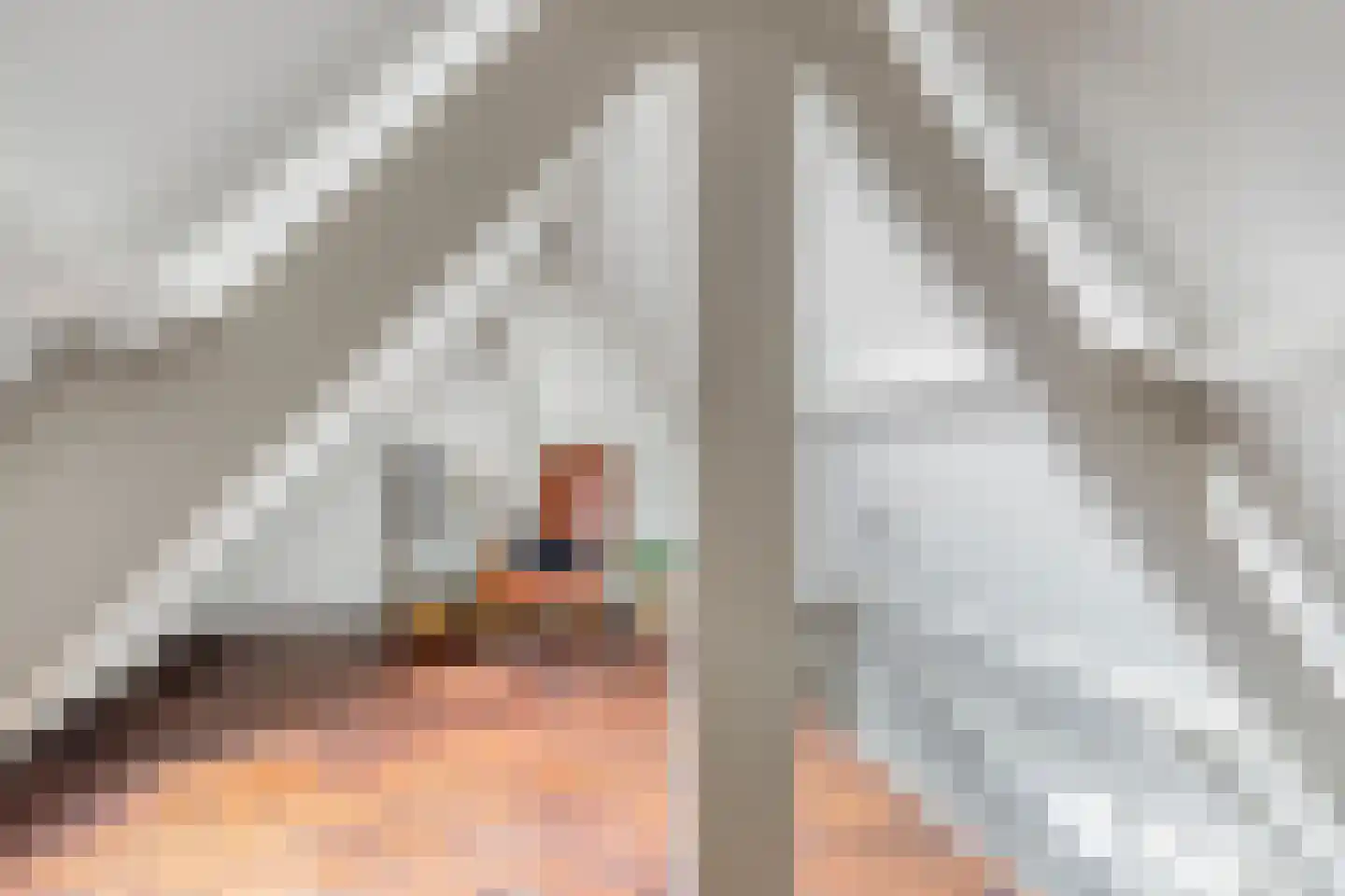 Monseigneur den Dubbeldenstraat 13 Asten thumbnail 35