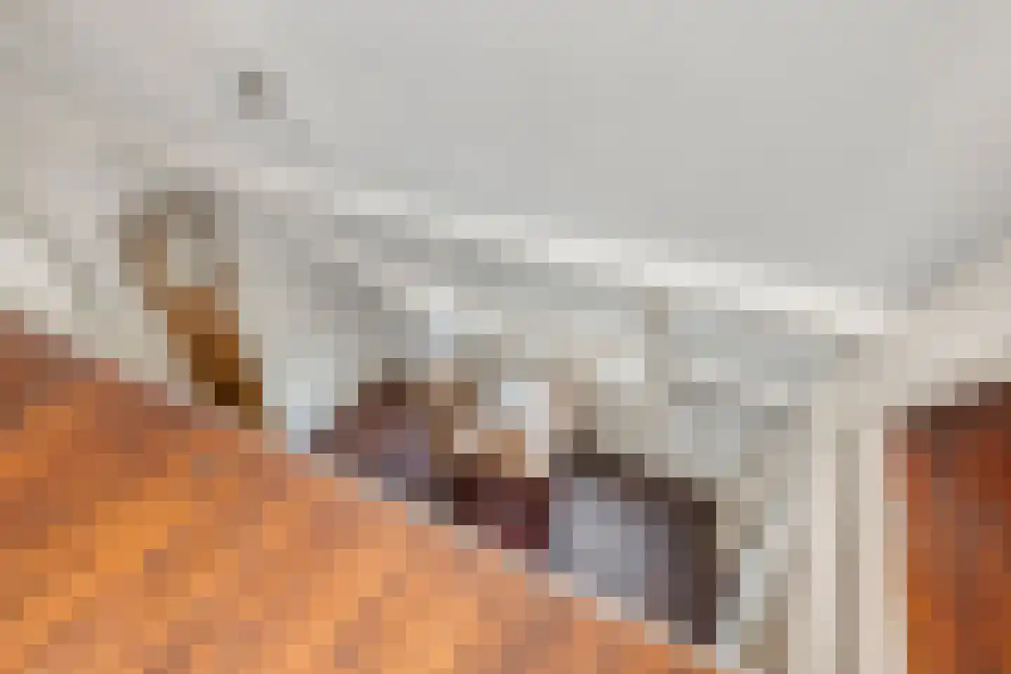 Monseigneur den Dubbeldenstraat 13 Asten thumbnail 37