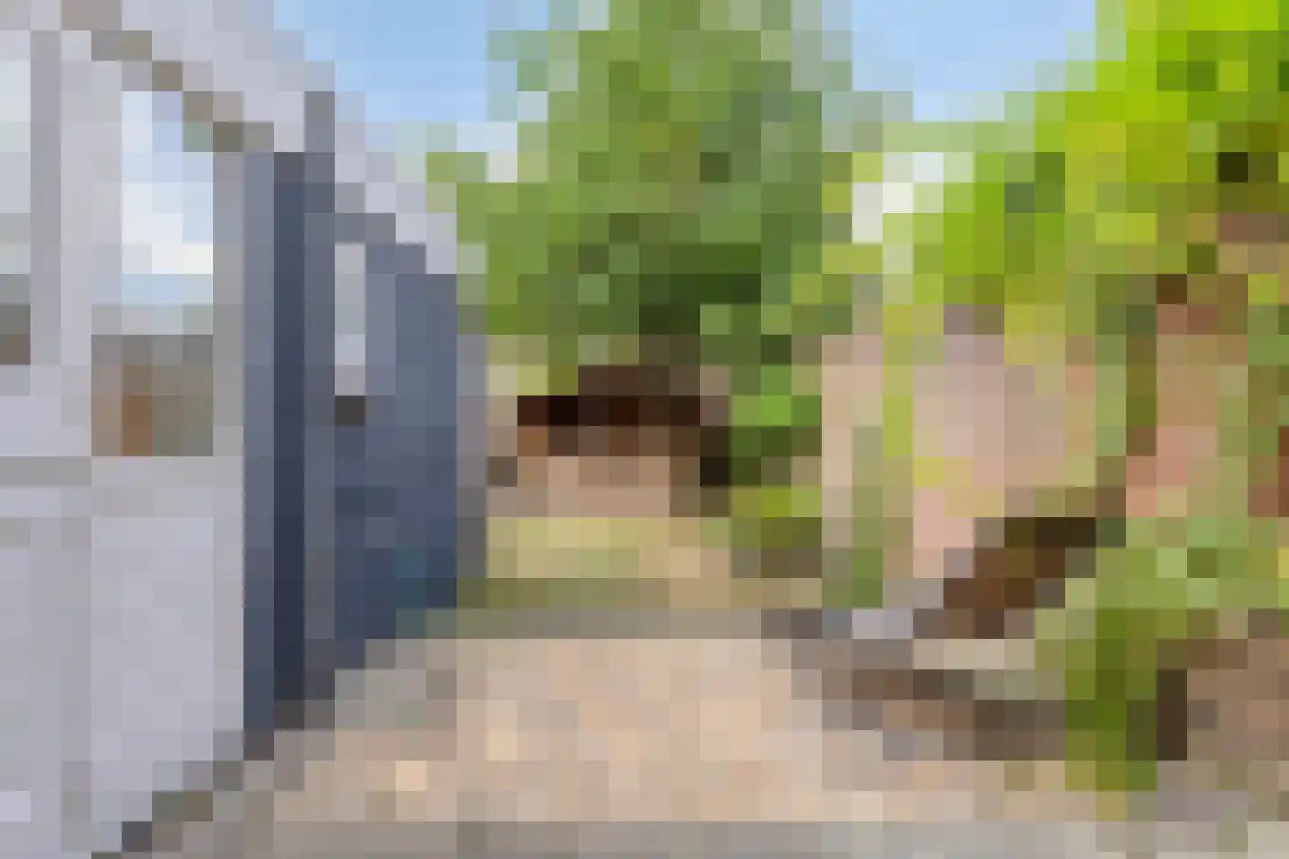 Monseigneur den Dubbeldenstraat 13 Asten thumbnail 38