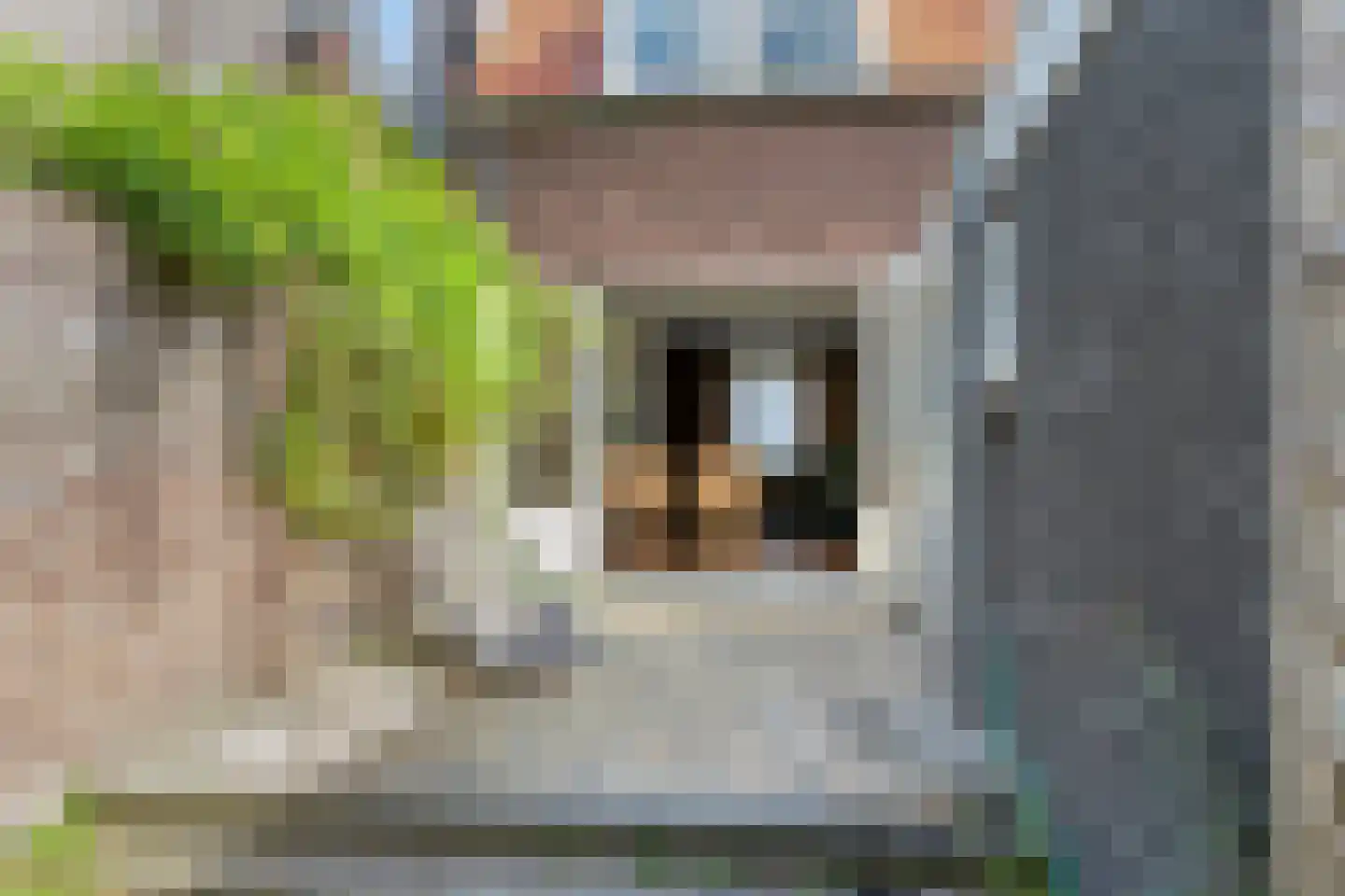 Monseigneur den Dubbeldenstraat 13 Asten thumbnail 42