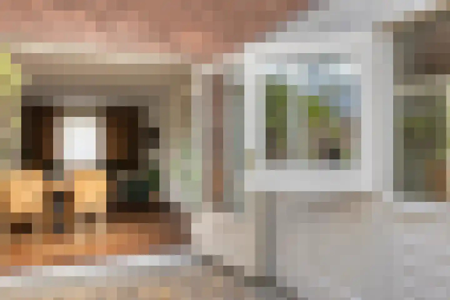 Monseigneur den Dubbeldenstraat 13 Asten thumbnail 43