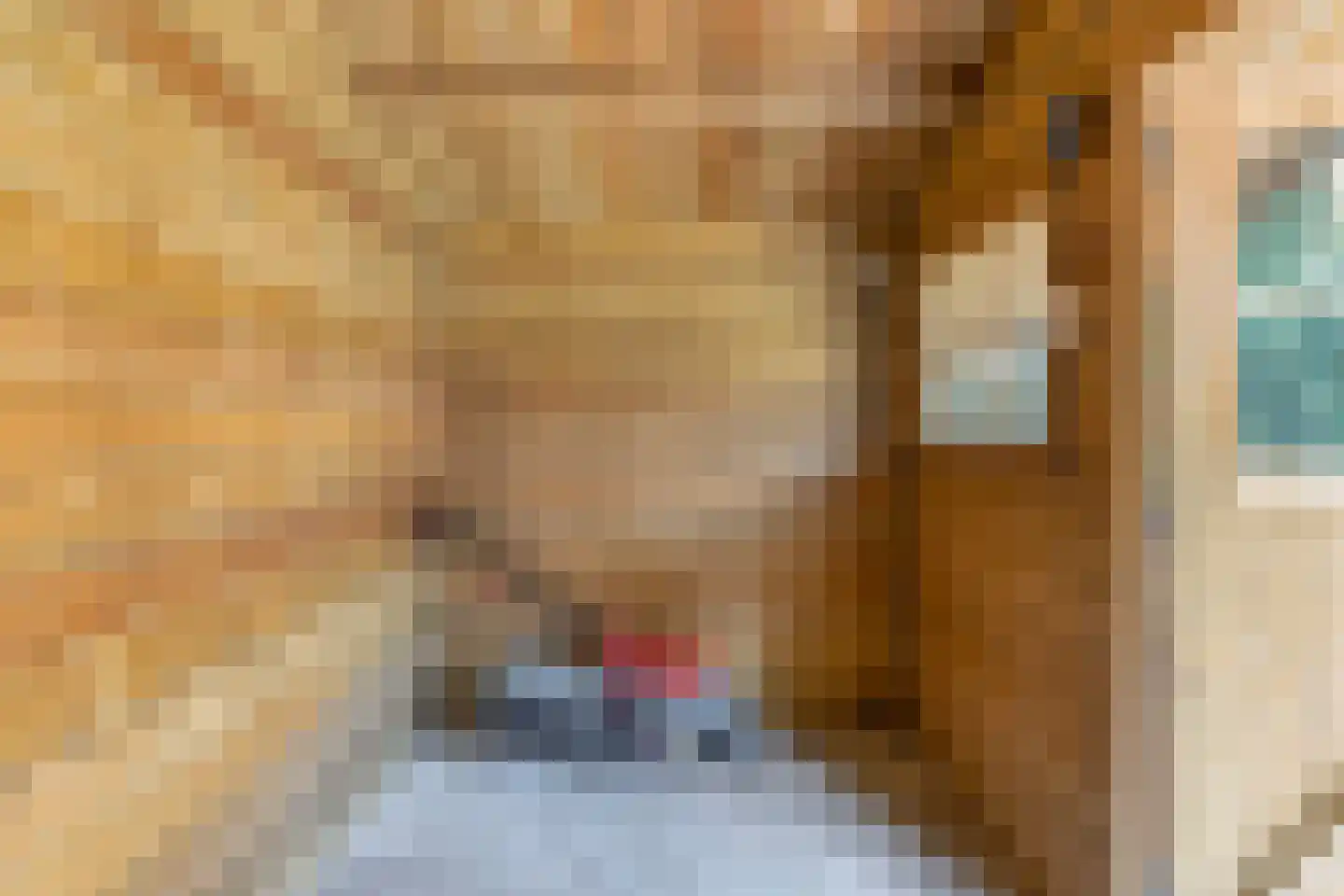 Monseigneur den Dubbeldenstraat 13 Asten thumbnail 47
