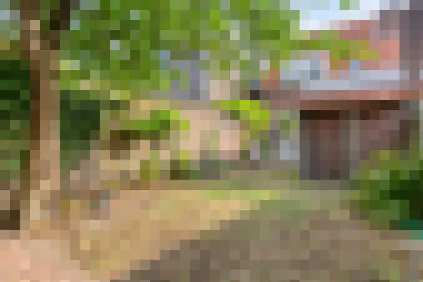 Monseigneur den Dubbeldenstraat 13 Asten thumbnail 49