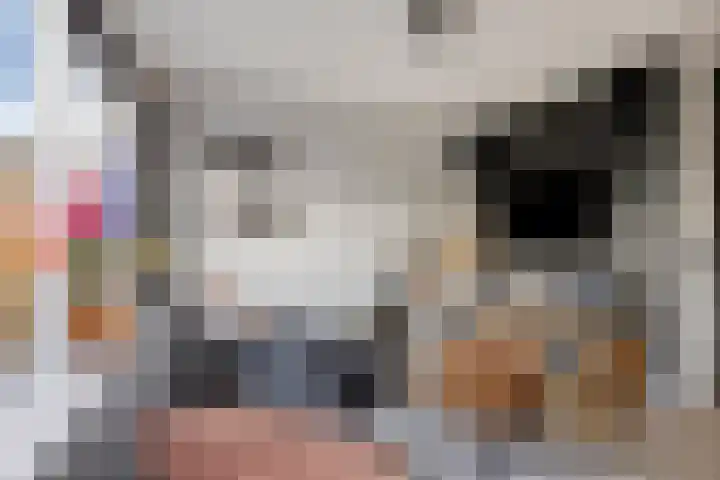 Monseigneur Dubbelmanstraat 4 Heeswijk-Dinther thumbnail 6