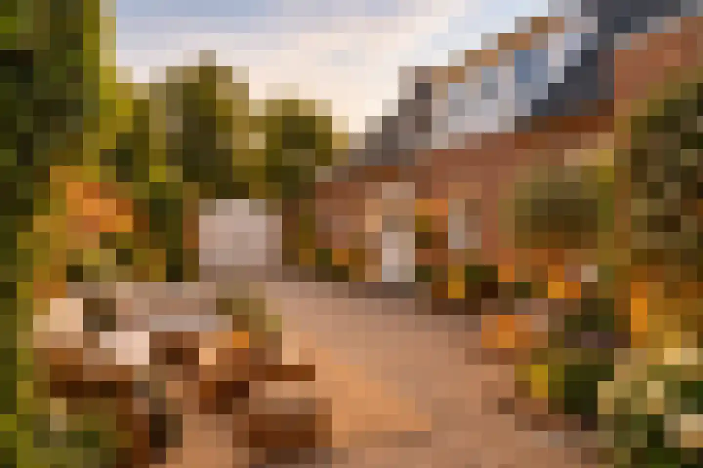 Monseigneur Geurtsstraat 29 Maashees thumbnail 15